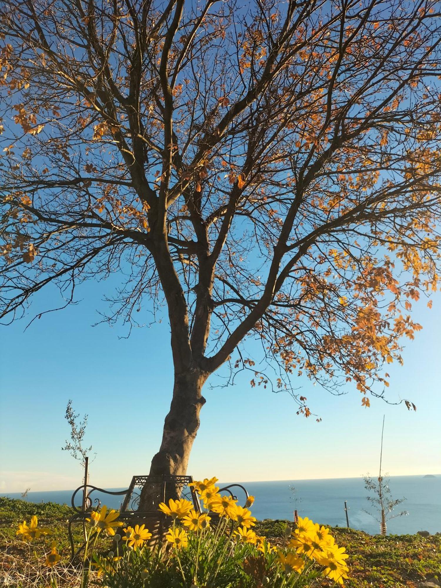 A Carubba Du Bungiurnu Villa Borgio Verezzi Bagian luar foto