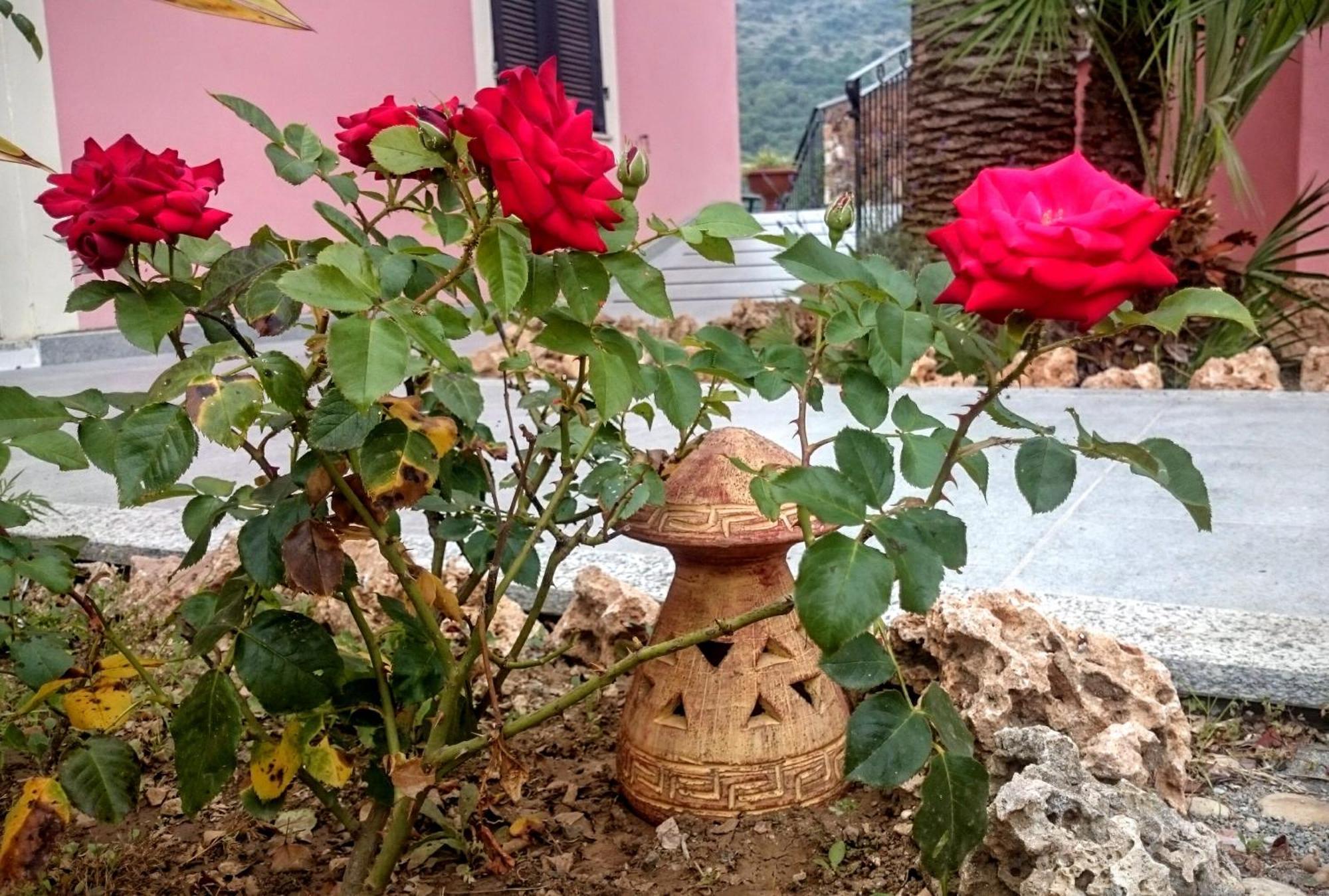 A Carubba Du Bungiurnu Villa Borgio Verezzi Bagian luar foto